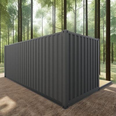 ログ 20フィート 環境に優しいフラットパック コンテナハウス プリファブリック 持続可能な建設 鉄筋構造 耐雨 風 雪店