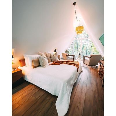 鋼鉄構造 三角木造の家