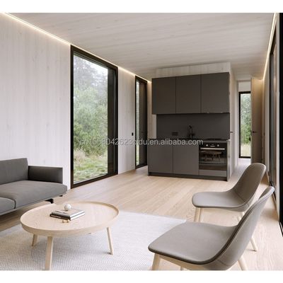 EU モダン 20フィート 迅速組立 木造住宅 コンテナ ホテル 店舗 オフィス用 パーソナライズされた色
