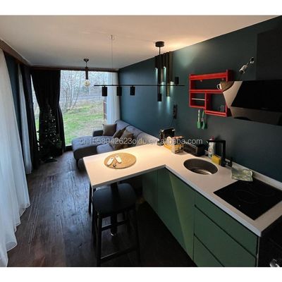 オーダーメイド カラー 40ft LOFT ファミリースタイル モバイルハウス プリファブリック 鋼筋構造と木造の外壁